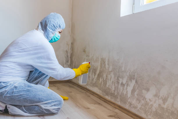 Hvac And Air Duct Mold Remediation inspection of HVAC system in Blue Ridge Summit