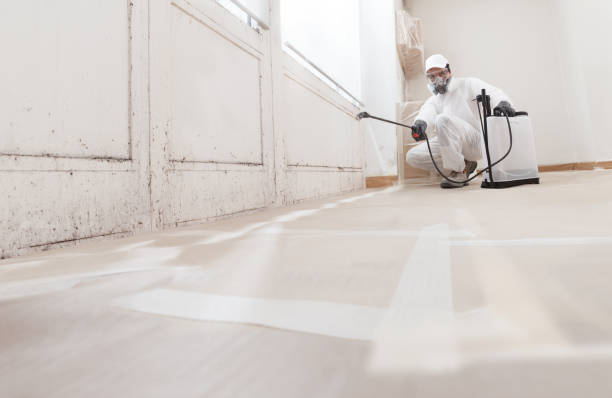 Black mold remediation team in Blue Ridge Summit